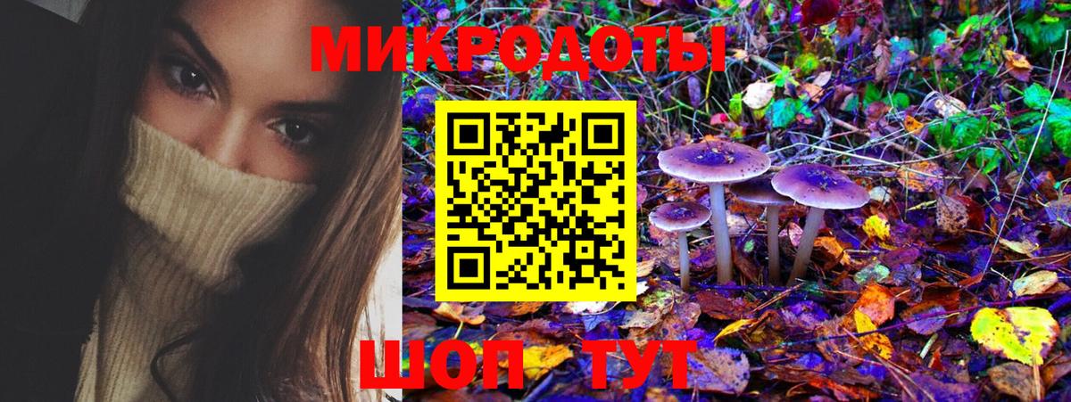 Псилоцибиновые грибы Cubensis  Вход с VPN  Псилоцибиновые грибы Psilocybe  дарнет шоп  Норильск 